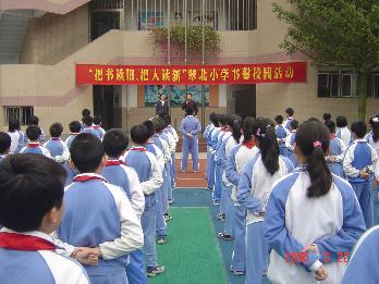 双滦区小学最新动态报道