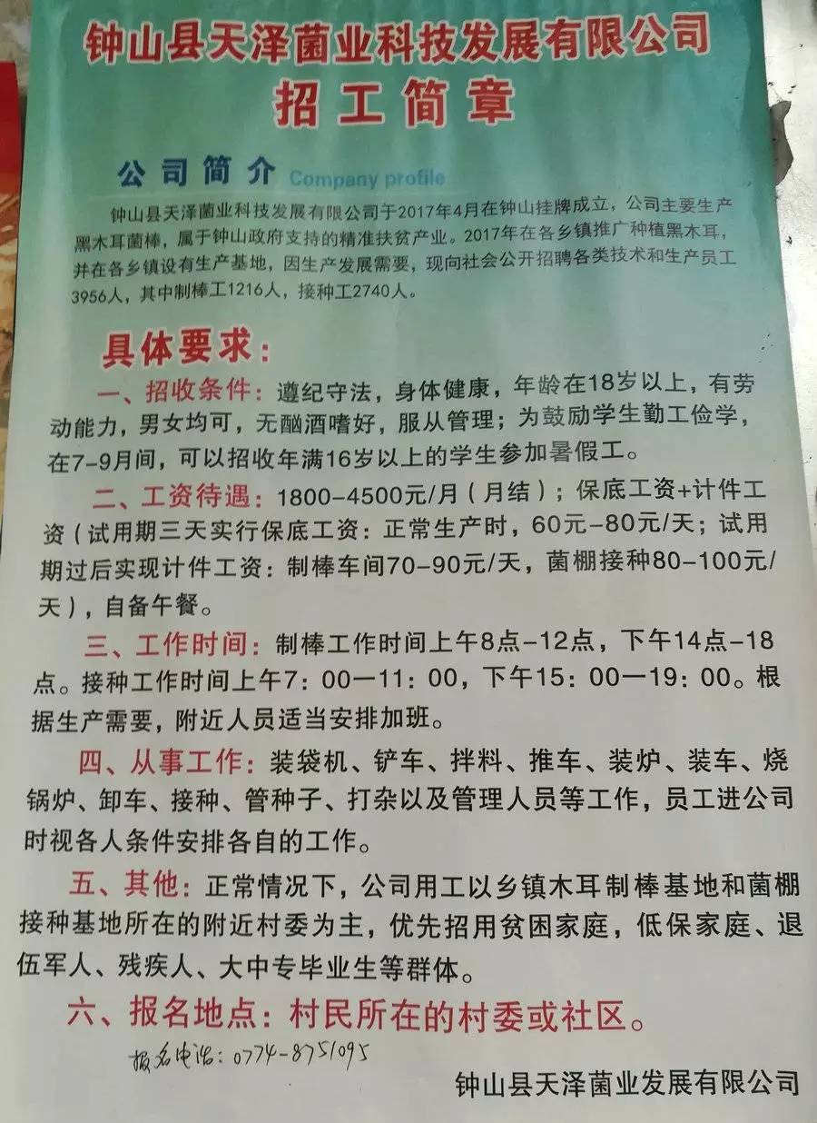 南村最新招聘信息全面解析