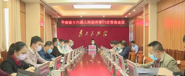 平南县人民政府办公室最新项目概览