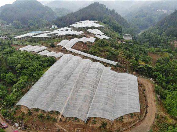 瓦房村天气预报更新通知