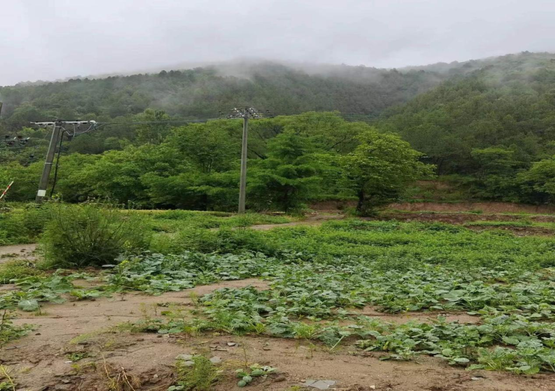 祁咀村民委员会天气预报更新通知