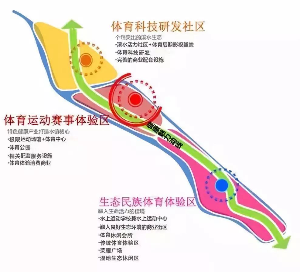 东区体育局发展规划揭秘，塑造未来体育蓝图展望