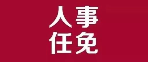 青云谱区审计局人事任命揭晓，深远影响的变革