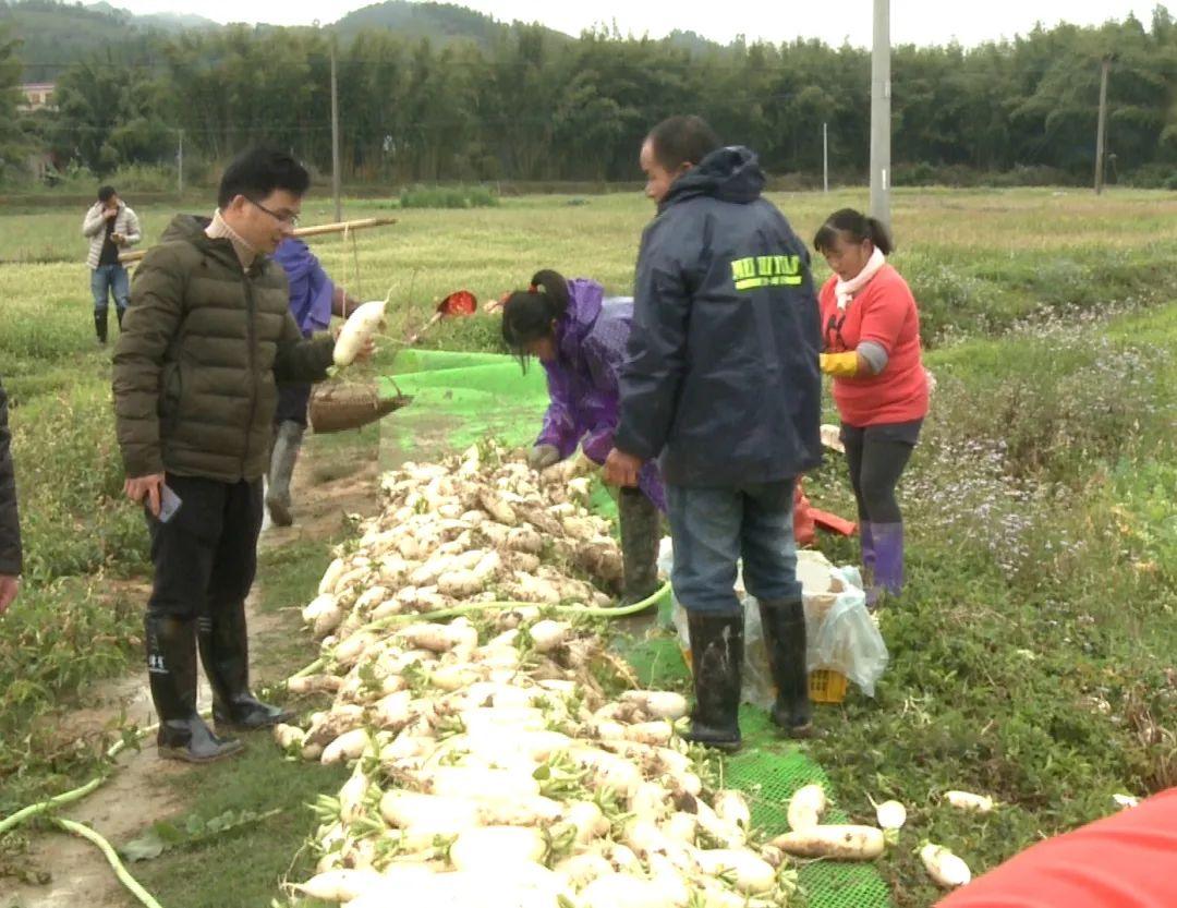 肇庆市劳动和社会保障局，构建和谐社会的最新发展规划与可持续发展战略