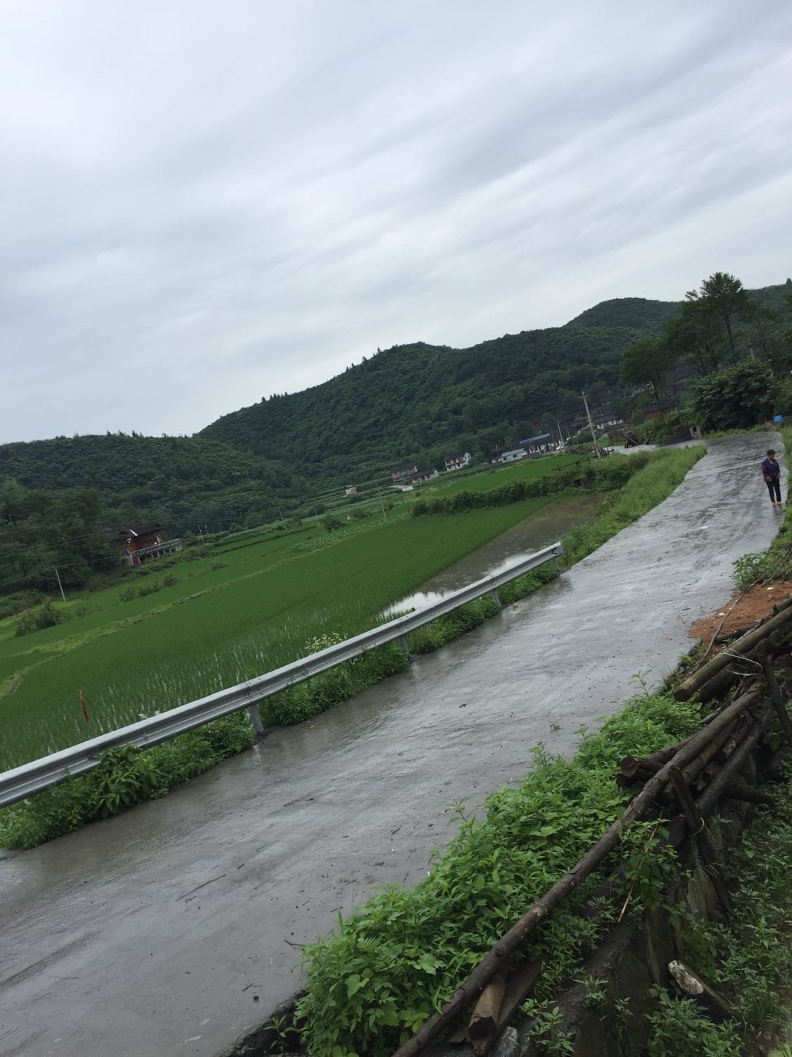 剑坪村天气预报更新通知