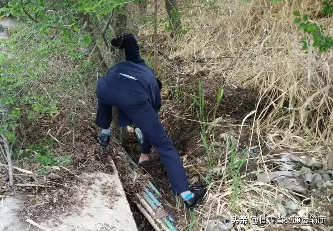 泾川县公路运输管理事业单位招聘启事概览