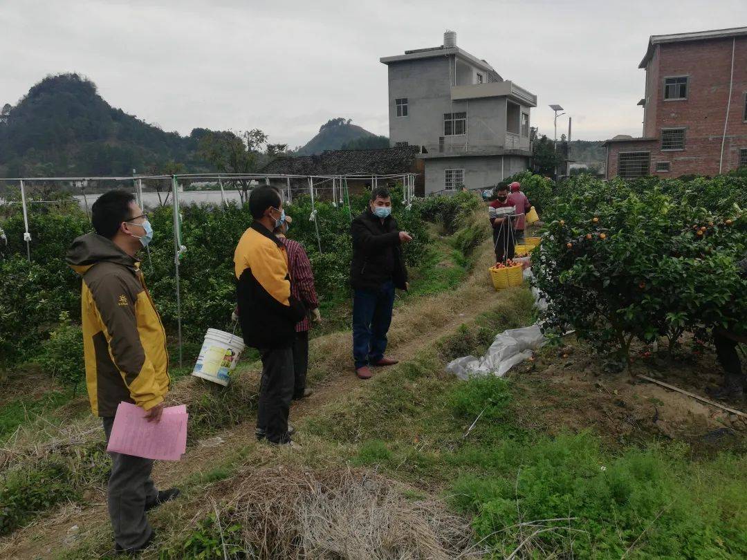 切塘村新任领导，引领繁荣进步的先锋力量