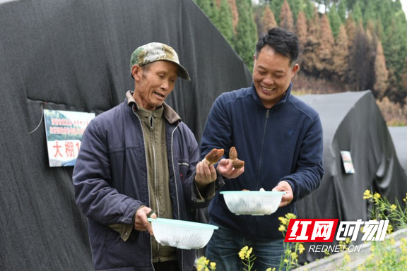 羊嘶川村民委员会领导团队介绍