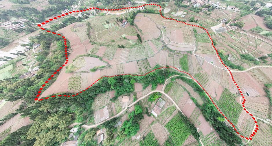 雁江区农业农村局最新发展规划概览